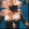 erotic nude beach pics